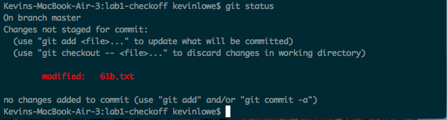 Git Exercise Status